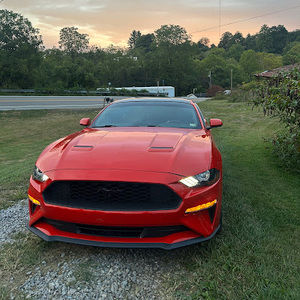 Meet your Posher, Sam